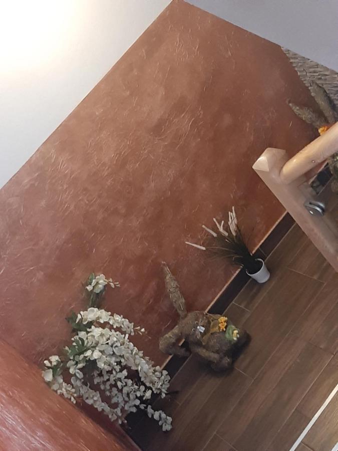 Pokoje U Mrugaly Czerwienne 外观 照片
